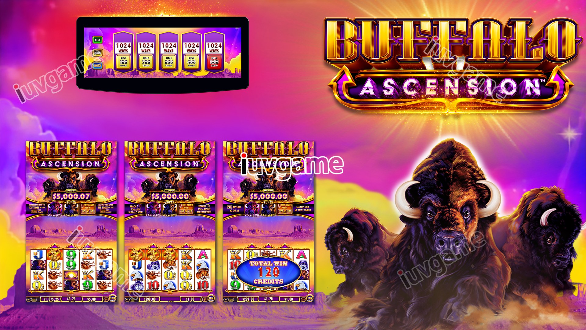 Buffalo Ascension