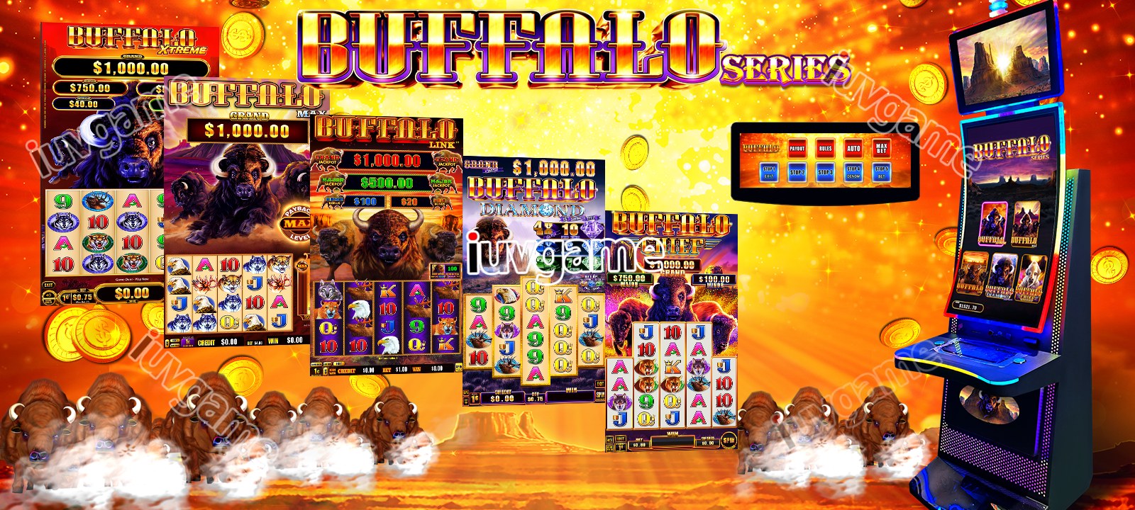 Buffalo Series